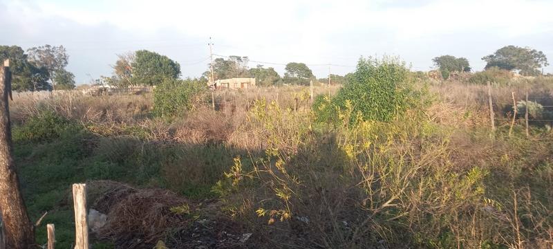 0 Bedroom Property for Sale in Kruisfontein Eastern Cape